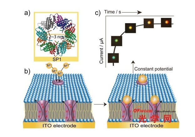 利用單納米粒子散射光譜技術(shù)實(shí)時(shí)追蹤生物分子