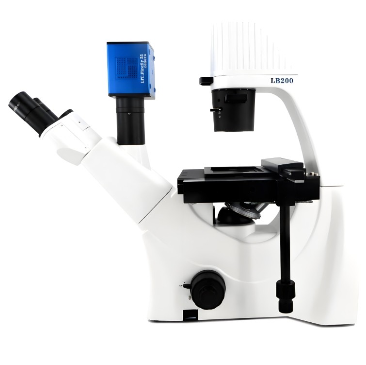 相差顯微鏡的光學(xué)元件應(yīng)用與技術(shù)解析