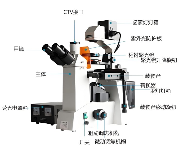倒置熒光顯微鏡組成