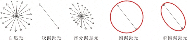 什么是偏振光？偏振光是如何完成檢測的？