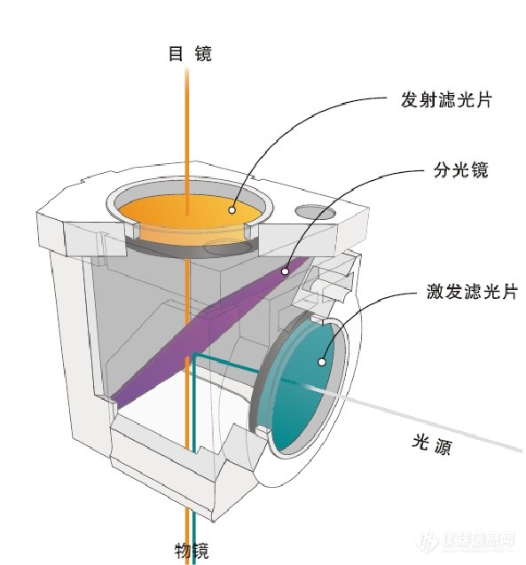 熒光顯微鏡常規(guī)光學元件應用圖