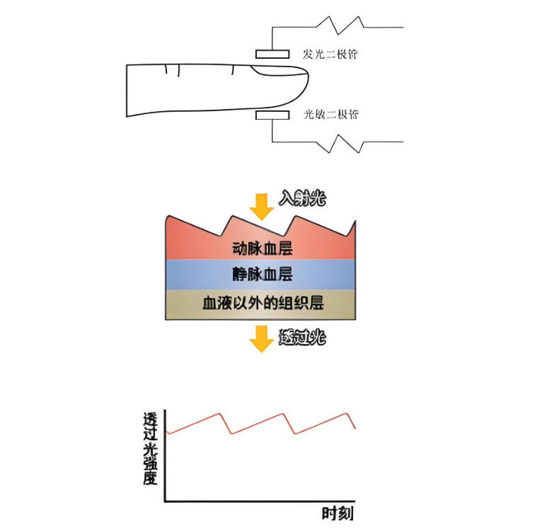 脈搏血氧儀簡介與光學(xué)原理<
