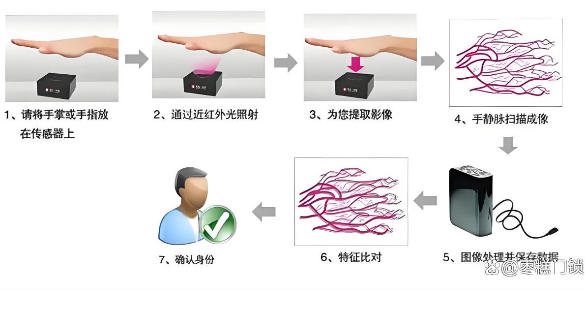 濾光片 掌靜脈識別圖