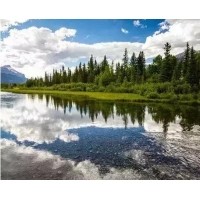 電磁波、紫外線和紅外線