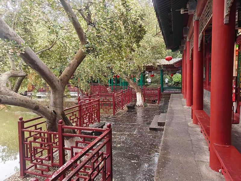 濾光片