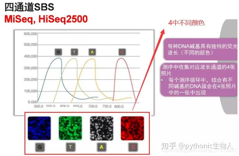 基因測序儀 基因測序儀