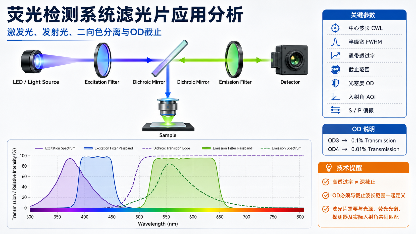 濾光片 濾光片